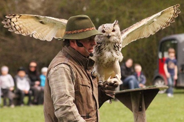 Zoo and Wildlife parks